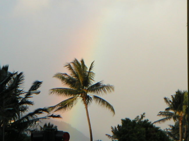 ダイヤモンドヘッドを下山し、ホテルへ向かう途中、虹を見かけました。ハワイの虹も有名ですよね。