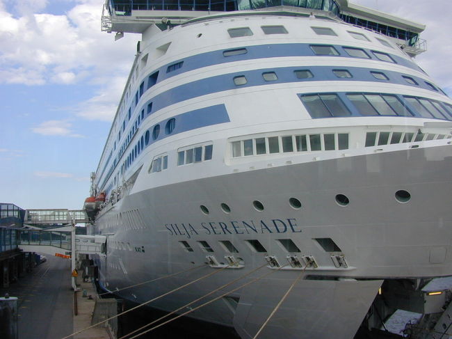 シリヤセレナーデです。