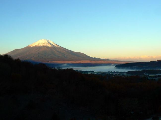今朝は期待通りくっきりと富士山が見えました