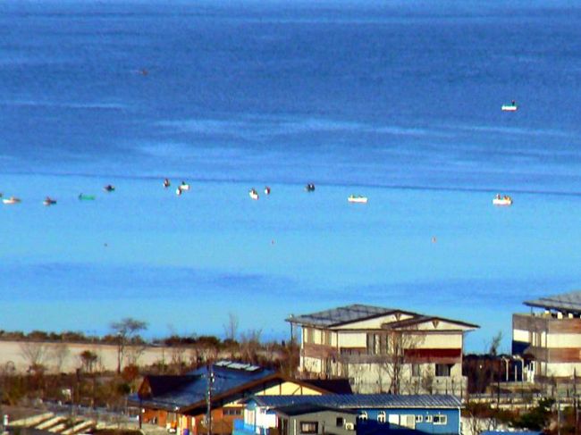 公魚はイッパイ釣れたのでしょうか