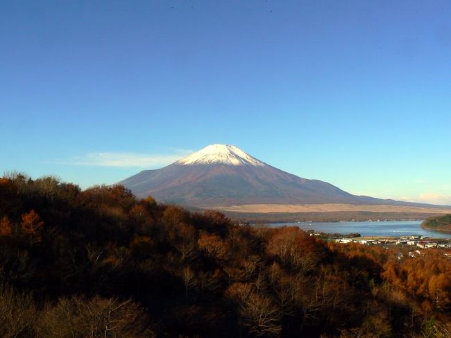 更に３０分後AM8:10