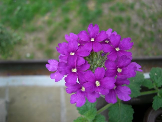 こんなんも見えます！<br /><br />そして・・・