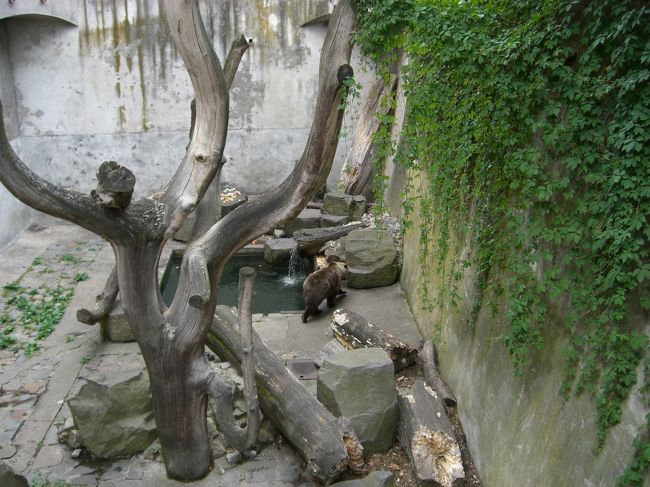 お堀のクマ<br /><br />与えられていたのが<br />大量のドーナツ・・・。<br /><br />