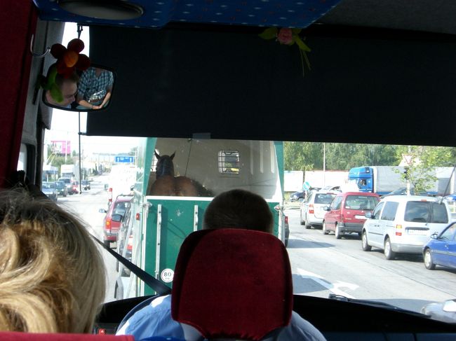 車窓から・・・<br /><br />馬輸送中