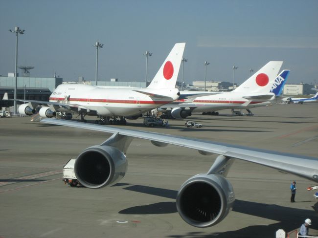 政府専用機が、偉そうに鎮座しておりました(笑)