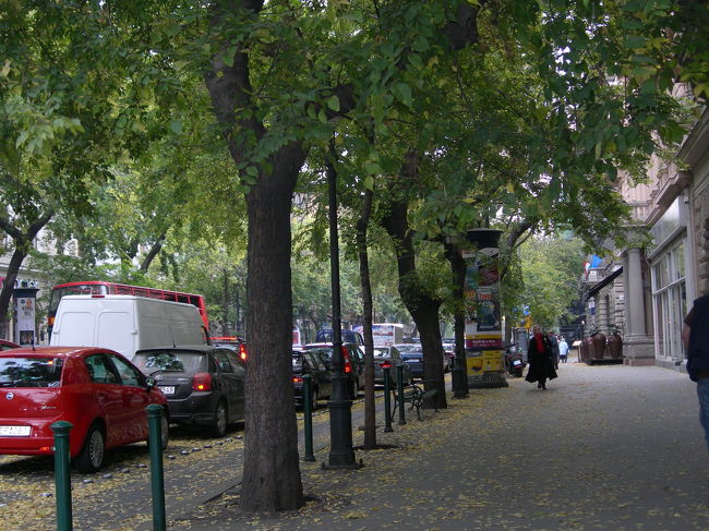 オペラ座のあるアンドラーシ通り。ブダペストのシャンゼリゼと言われるように、並木の美しい通りです。