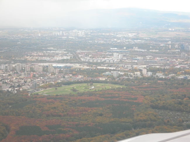 飛行機はフランクフルトでトランジット。空港周辺の森は紅葉で彩られていました。