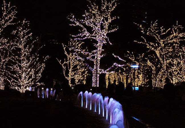 あたりもあっという間に暗くなり、ミッドタウンのさくら通りがイルミネーションに煌いています。