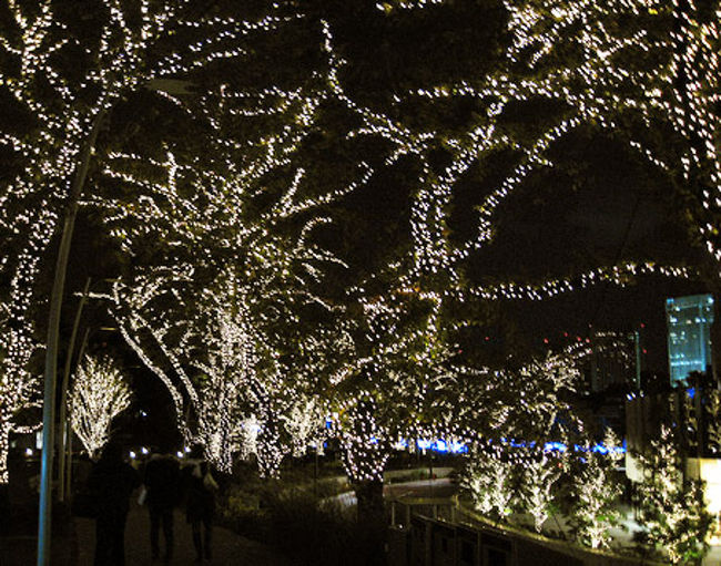 このさくら通りをぬけるとガーデンエリアに入ります。