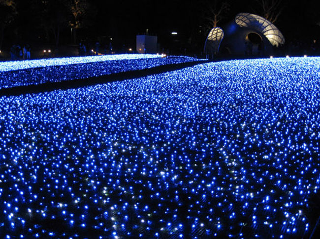 近くで見るとこんな感じ。星空の中を散歩しているようなメルヘンな世界です。