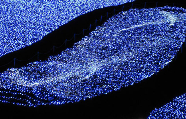 真ん中のミルキーウェイは、じっと見ていると、こんな風に流れ星が常に流れています。