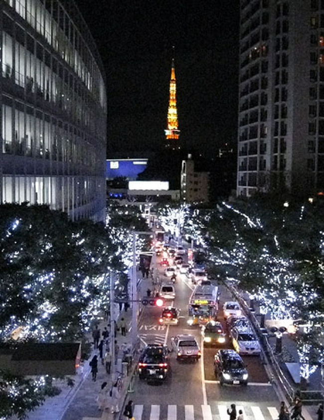 そして最後にけやき坂。こちらは一転してスノウブルーの霧氷をイメージしたイルミネーションでしょうか。オレンジの東京タワーも映えます。