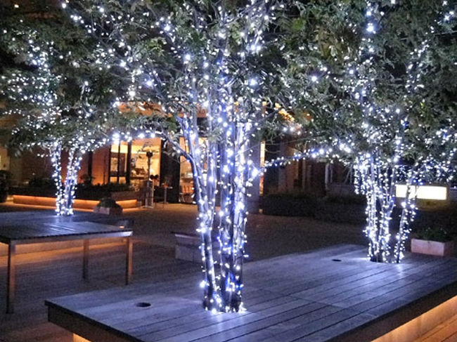 東京ミッドタウンもけやき坂もとっても綺麗ですてきでした。ただ、どちらも高層ビルの下ですので、ビル風のすごいこと。寒いの寒くないのって。こちらの見学は、ぜひとも熱々のアベックでの鑑賞をお勧めします。さもないと見終わった頃は、身も心も冷えきって風邪をひくはめに。。。っくしゅん！！！