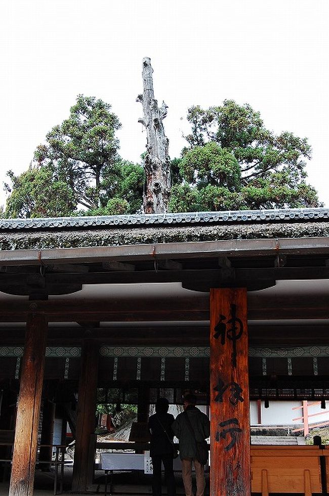 2007秋 奈良・京都の旅 （3） ～奈良の世界遺産、春日大社・新薬師寺