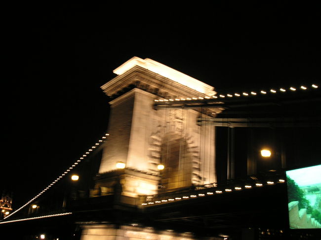 楽しみにしていたドナウ川クルーズ。<br />川沿いにいくつかナイトクルーズの会社がでている。<br />コースや内容が各社少しずつ違うので合うものを探すといい。私たちは2時間コースでワインが付いていて日本語音声ガイドが聞けるものをチョイス。<br />昼間は温かく過ごしやすかったがさすがに夜の川は寒かった。ブランケットが置いてあるが寒い。<br />ライトアップされた国会議事堂や王宮を川から眺めるのは格別きれいである。<br />橋の下を通る時の何ともいえないワクワク感と優越感は何故起きるのだろうか。