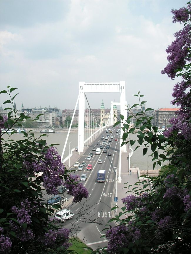 けっこうな階段を登る。都会の中の美しい緑だがそれを味わう余裕なし。と思っていたらハンガリーといえばエリザベートということでエルジェーベト橋が花越しに見える。きれいな眺めでほっと一息。