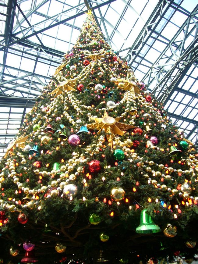 2007☆ディズニー・クリスマス☆』東京ディズニーリゾート(千葉 2007☆ディズニー・クリスマス☆』東京ディズニーリゾート(千葉