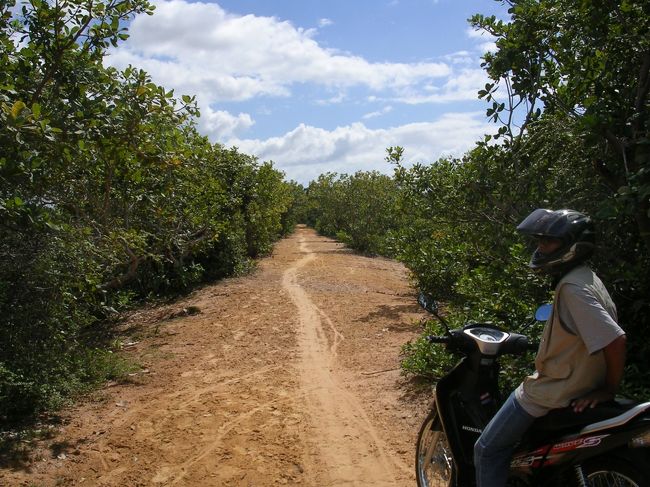 バイクタクシーのガイド