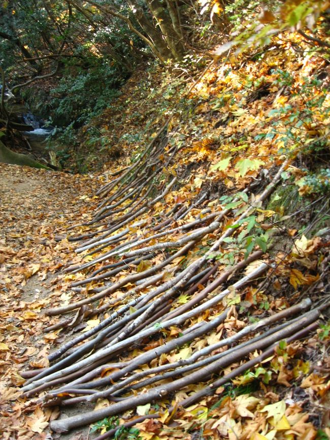 杖代わり？にどうぞなのかな。。。