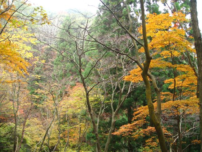 健脚コース(約５ｋｍ）を選択<br />これが思わぬ事態に<br /><br />四季の森コース(約４．５ｋｍ）に行くと<br />湿原の水源があります