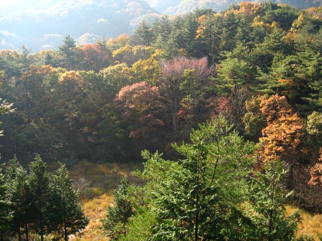 高台にある展望台から眺める紅葉