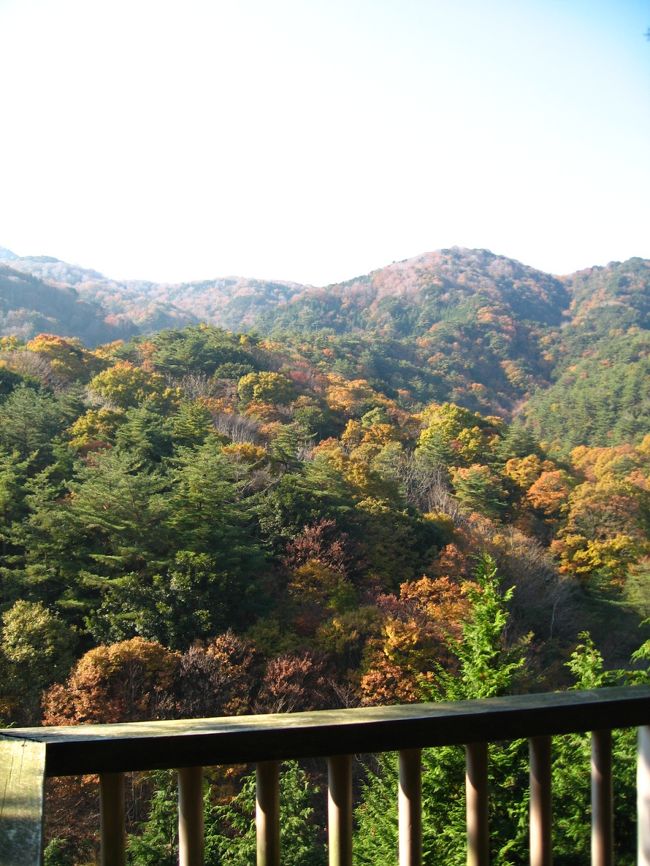 高台の展望台から