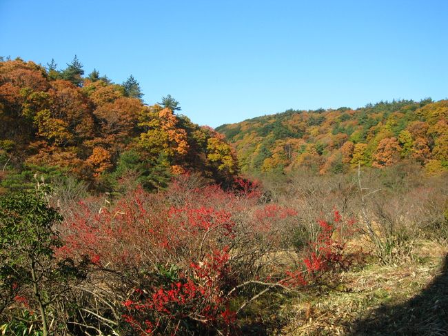 中央湿原<br />ヌマカヤの侵入で陸化が進んでいるそうです。