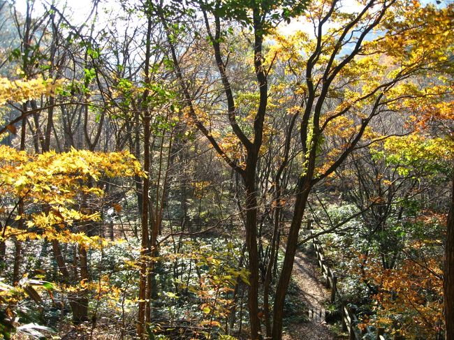 遊歩道から<br />少し登ったところからの風景