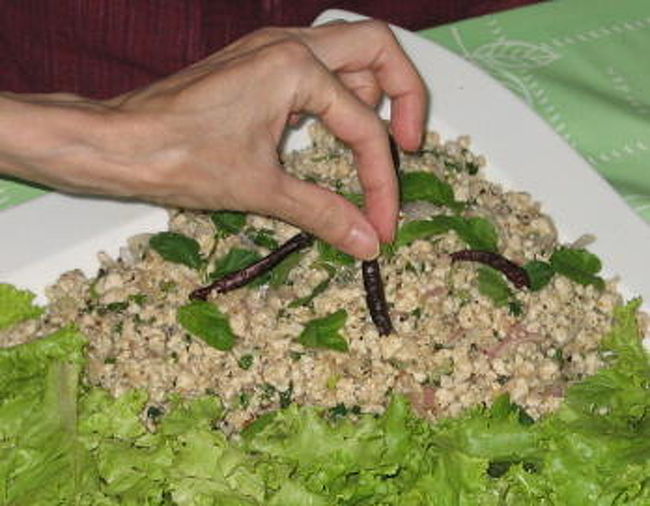 鳥のひき肉と混ぜて炒めて<br />ミントの葉と唐辛子を飾って