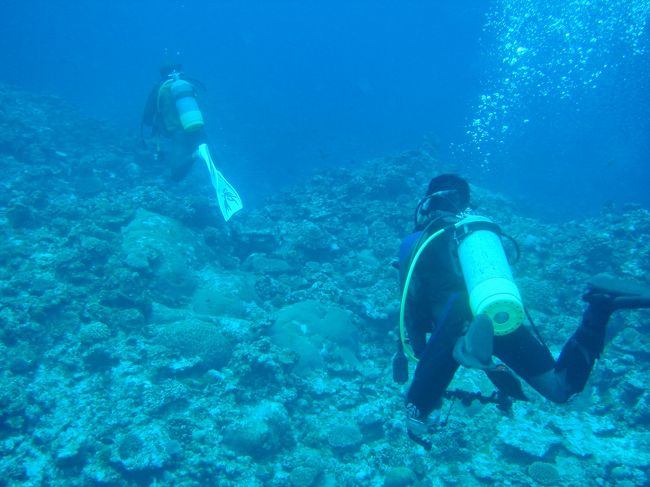 待ってくれ〜！