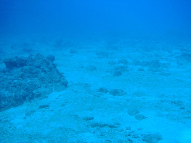 『ミスティックリバー』の水底の眺め。　水深29.6ｍ。