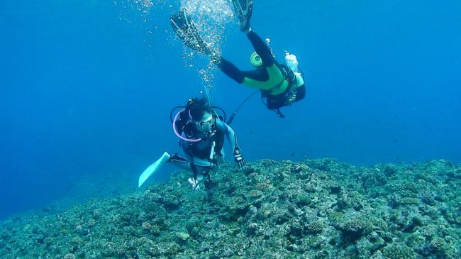 宇宙遊泳してるみたい！気持ちいい！！
