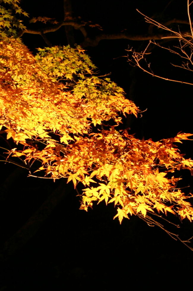 小さな旅 くらがり渓谷 紅葉まつり 岡崎 愛知県 の旅行記 ブログ By シベックさん フォートラベル