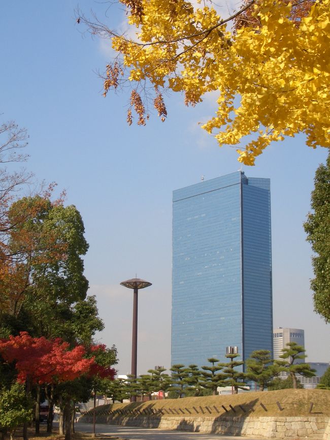 黄色や赤くそまつた木樹。