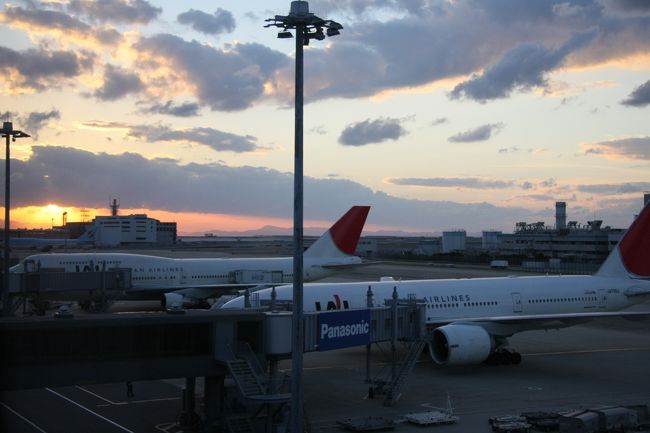 関空から夕方のJAL便で飛びました♪