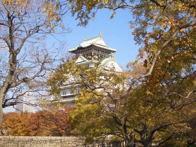 お城の金箔も紅葉に負けじと、ひかり輝いてる。