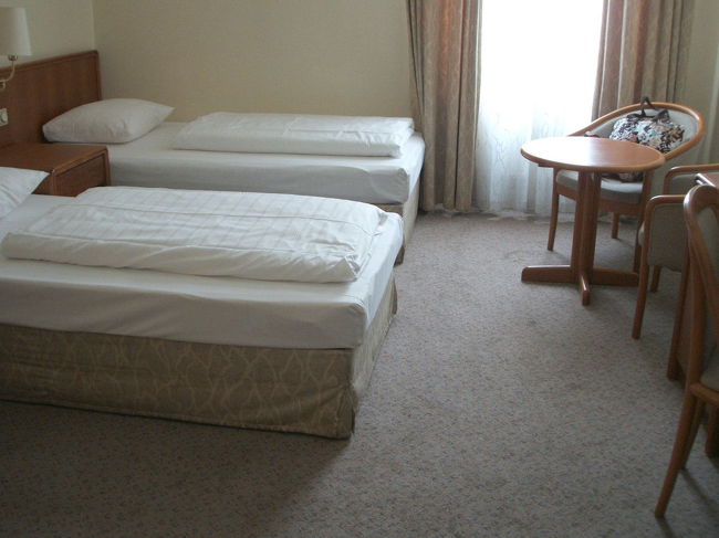 ホテルは駅のすぐそばモノポールです。<br />ツインで一泊約12,000円。<br /><br />フランクフルトへは観光目的ではなく、翌日のライン川下りのために一泊するだけだったので駅から近くて安いホテルにしました。<br />このホテルはミニバーが無料！ということで有名です。<br />水、コーラ、ジュース、ビールが2本づつありました。<br /><br />ホテルは古く部屋も殺風景ですが、ツインの部屋は十分な広さでした。移動の合間に宿泊するだけの目的なら、駅からも近く安いのでおすすめです。