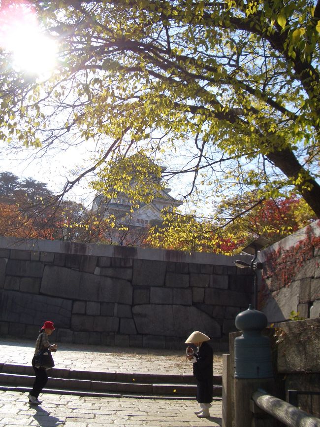 この坂を上がればお城がみえてくる。