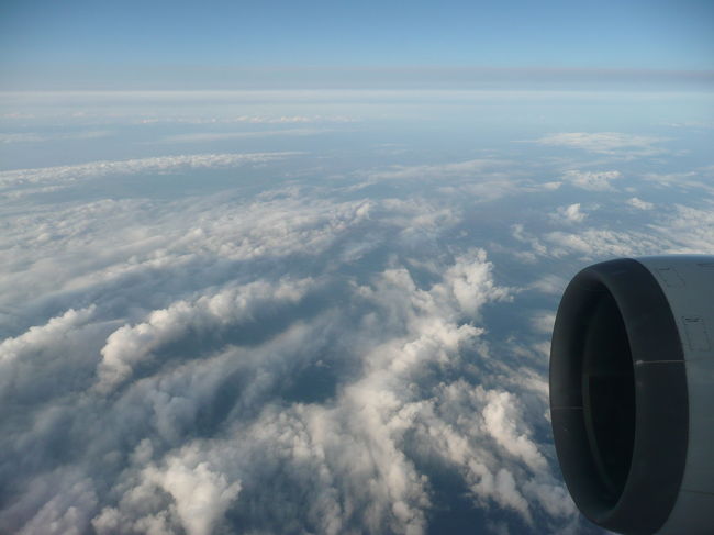 曇ってるなぁ…