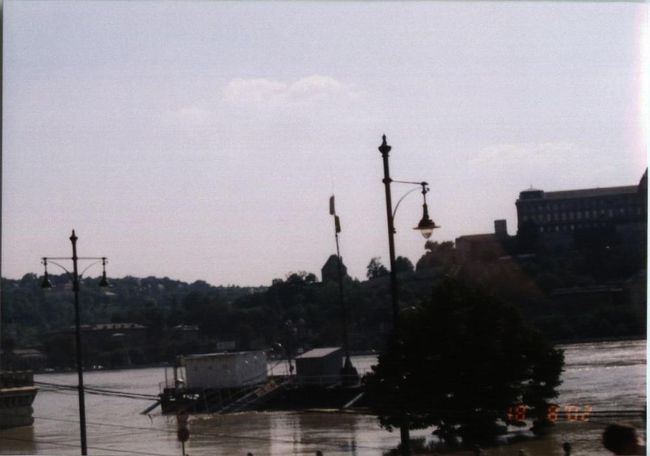 洪水の様子がわかるかも。