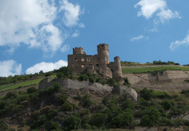 両岸には次々とお城が現れます。