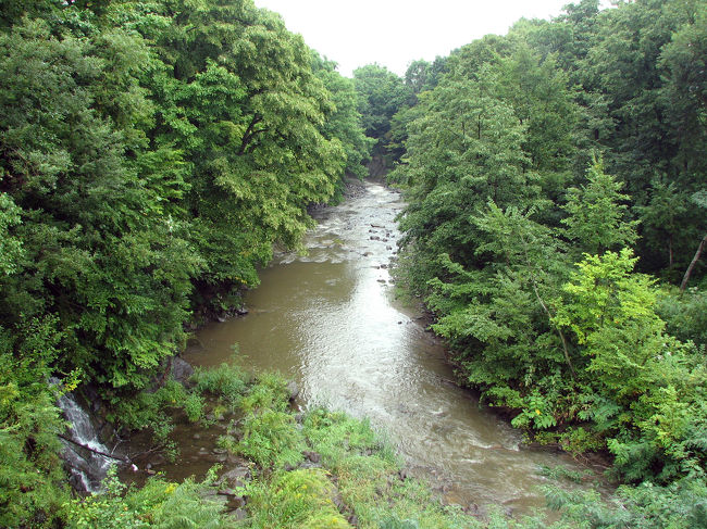 入り口からすぐのところにある橋の上から見た真駒内川