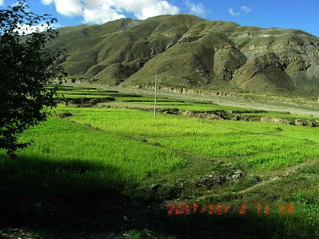 どこまでもきれいに管理された農地があったので驚きました。