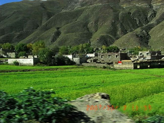 酪農と菜の花の栽培が盛んらしい。