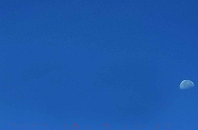 下弦の月（かどうか）が出ていて風景と一緒に撮りたかったけれど画面で確認できずこんな所に写っていました。