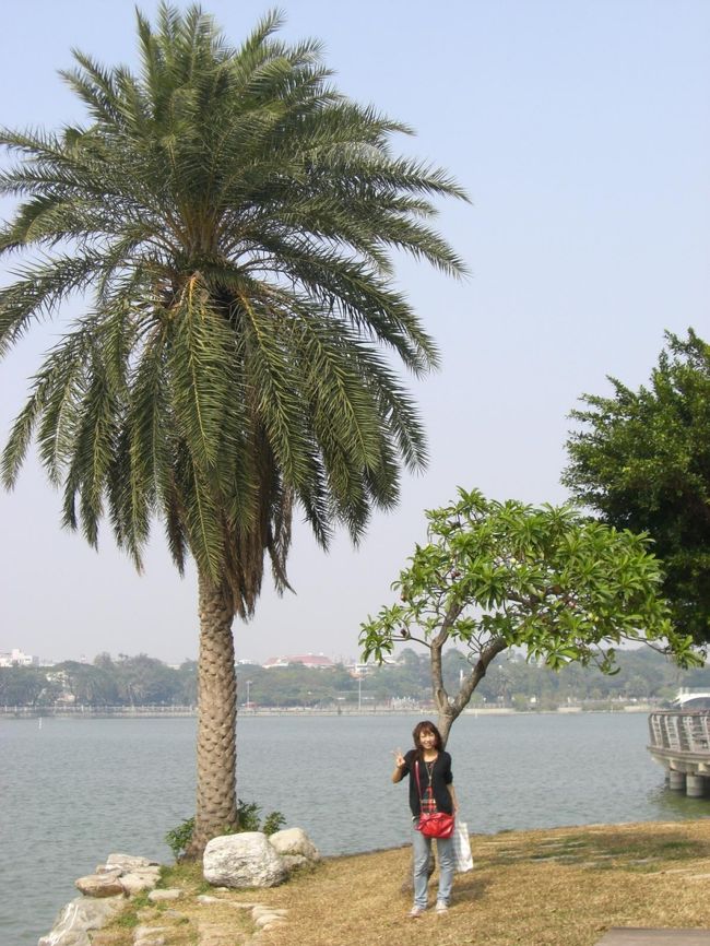 木からして南国っぽい〜♪