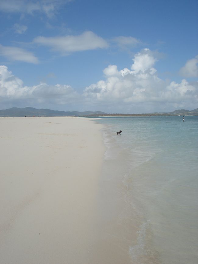 ん、なんかいる……