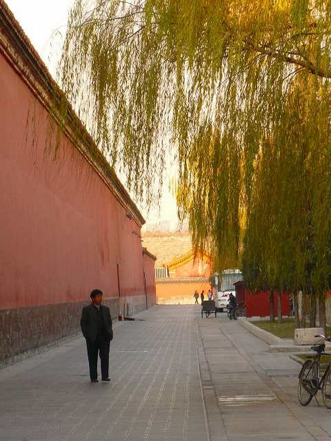 もう少し時間があれば、ゆっくり中を見れたのですが。以前は個人で行ったので、養心殿や珍妃の井戸とかが見れたので大満足でした。<br />もう少しゆっくり見たい人は自由時間の際にくるといいと思います。ラストエンペラー展や西太后展（小さな写真展）を博物院入り口前で有料で行っています。（随時なのかな？）