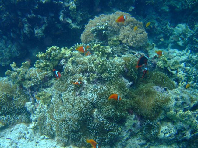 ほんとにいっぱい居ました。<br />もっと見てたかったなぁ。