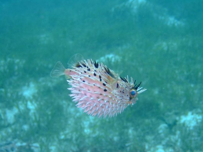 慌てて逃げる姿もかわいい！！